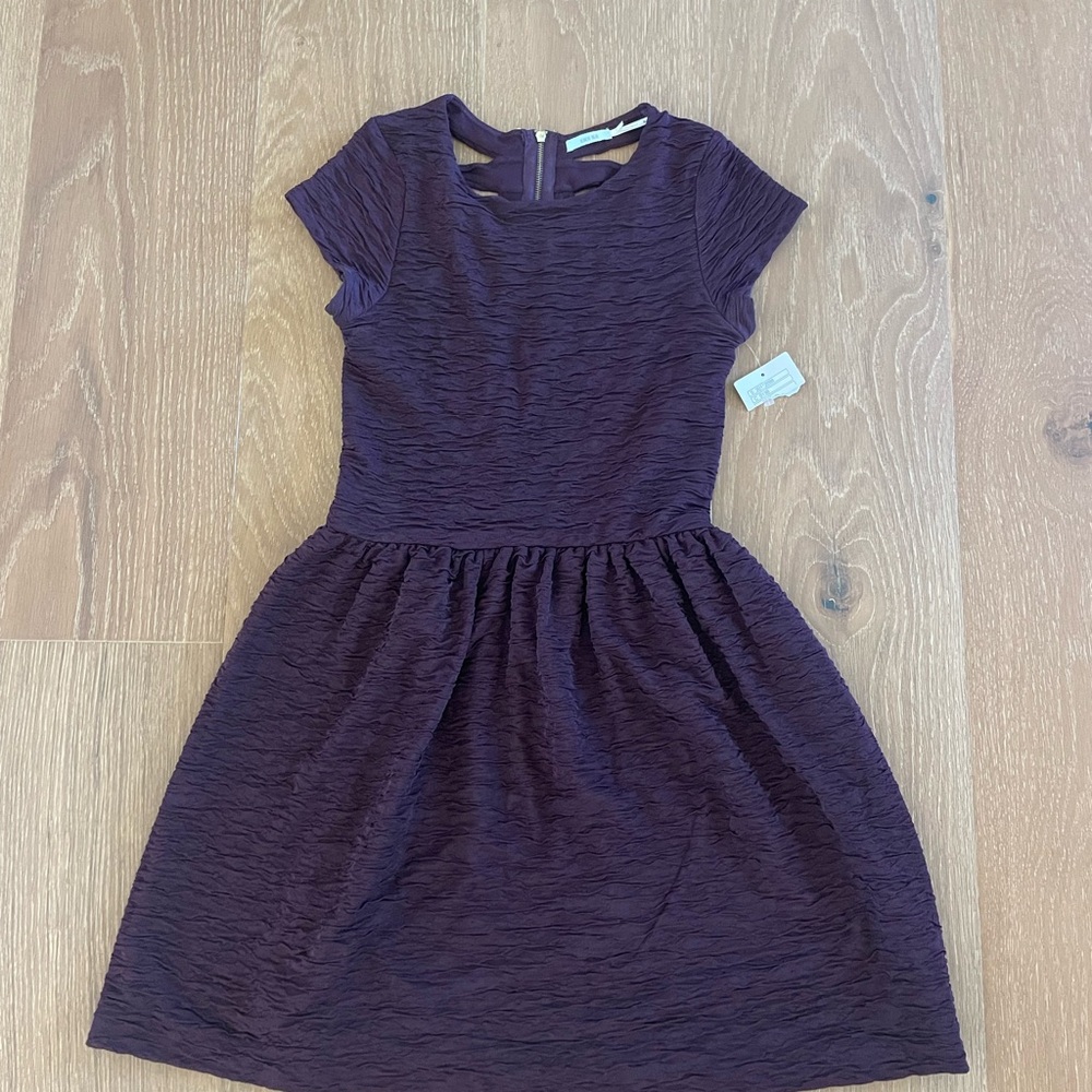 Urban Outfitters Women’s Purple Mini Dress